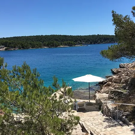 Robinson Punta